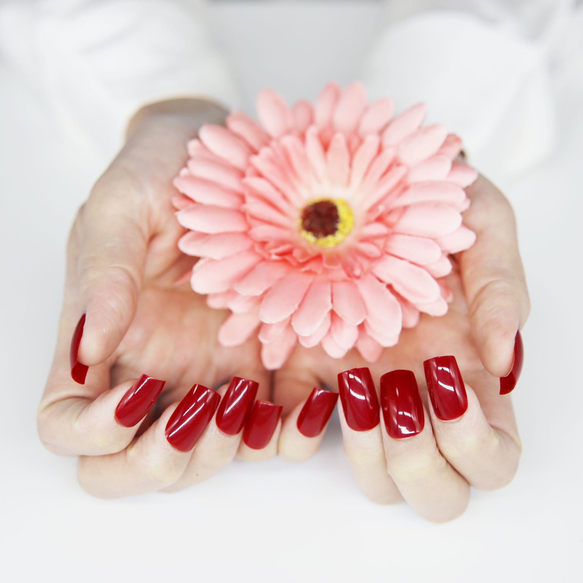 Velvet Mystique lavender (French Crimson Brown) No.47