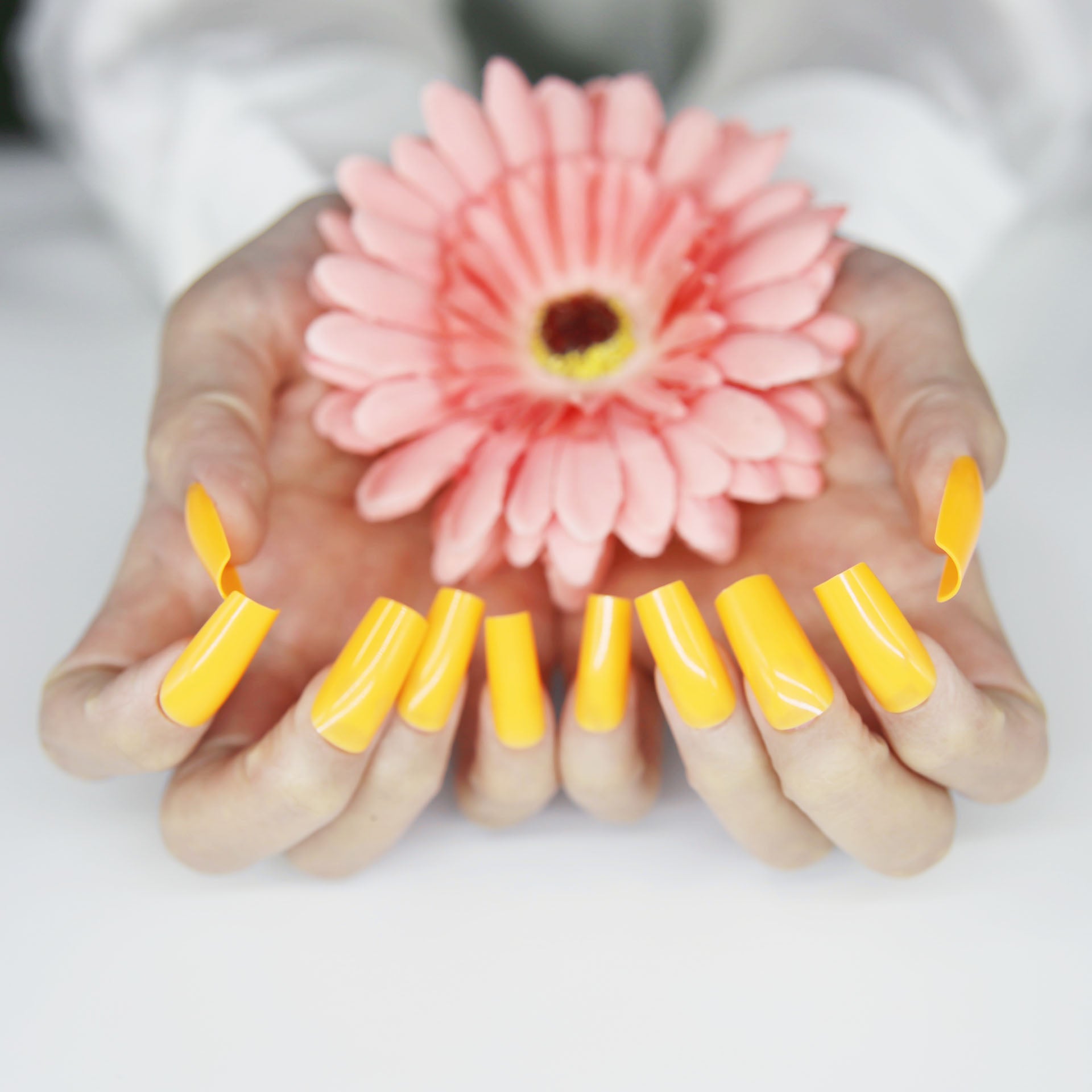 Velvet Mystique lavender (Yellow Orange Green) No.48